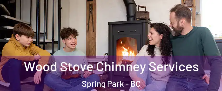  Wood Stove Chimney Services Spring Park - BC