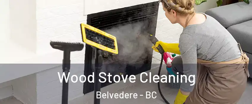 Wood Stove Cleaning Belvedere - BC
