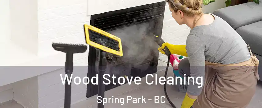  Wood Stove Cleaning Spring Park - BC