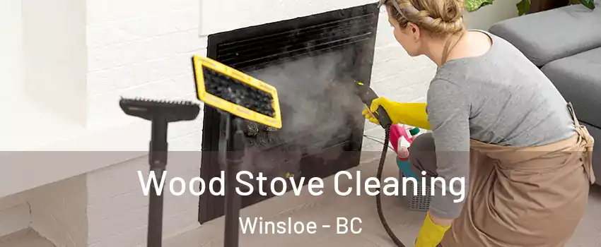 Wood Stove Cleaning Winsloe - BC