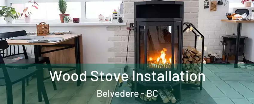  Wood Stove Installation Belvedere - BC