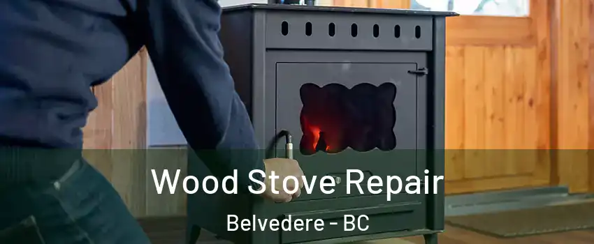  Wood Stove Repair Belvedere - BC
