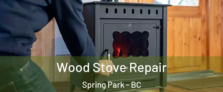  Wood Stove Repair Spring Park - BC